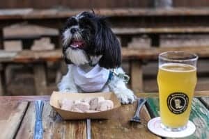 Doggy Dinner
